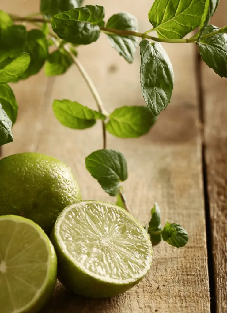 Green Lime — the materials behind the accord