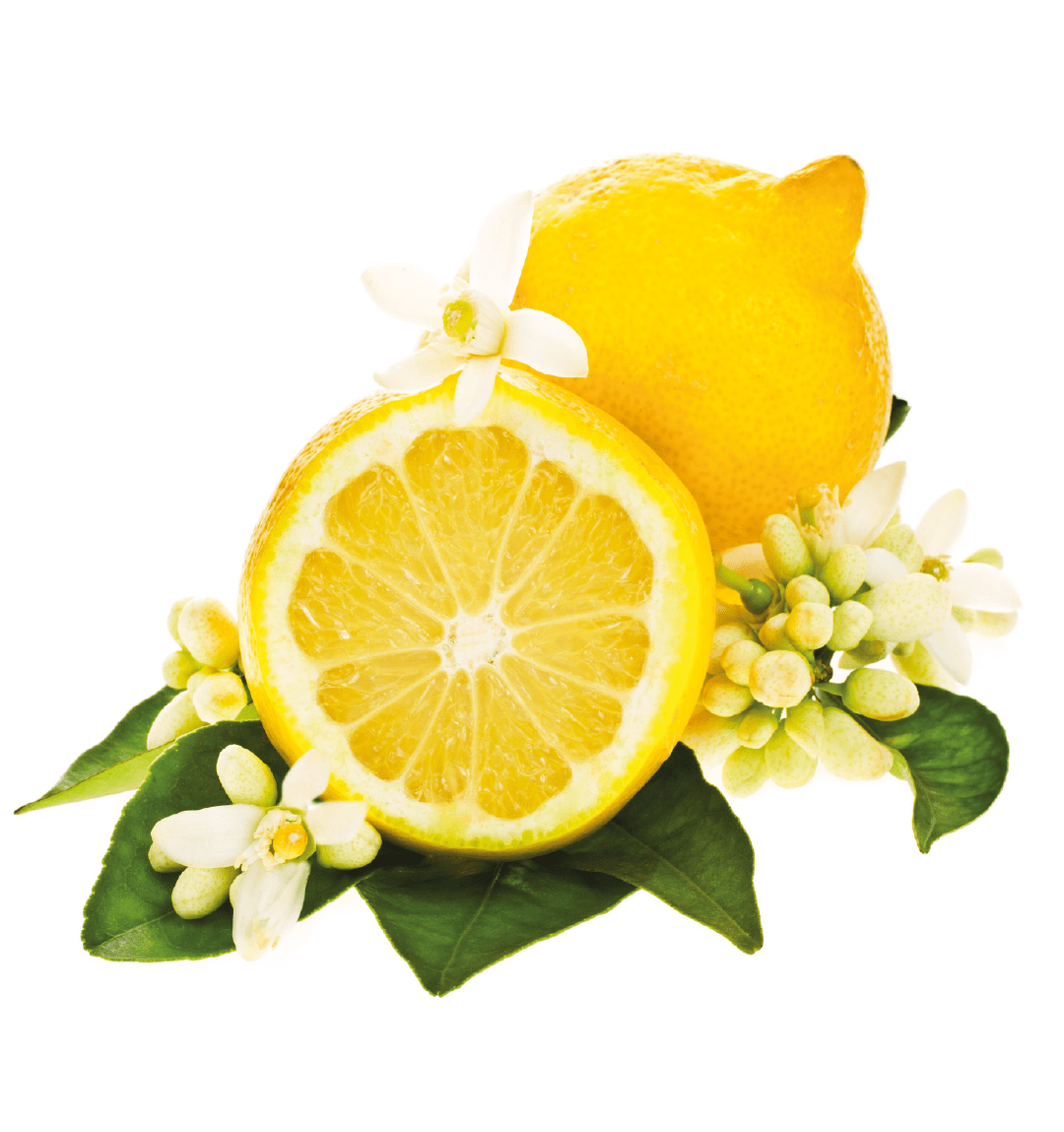 Kitchen Lemon — المواد التي يقوم عليها التركيب