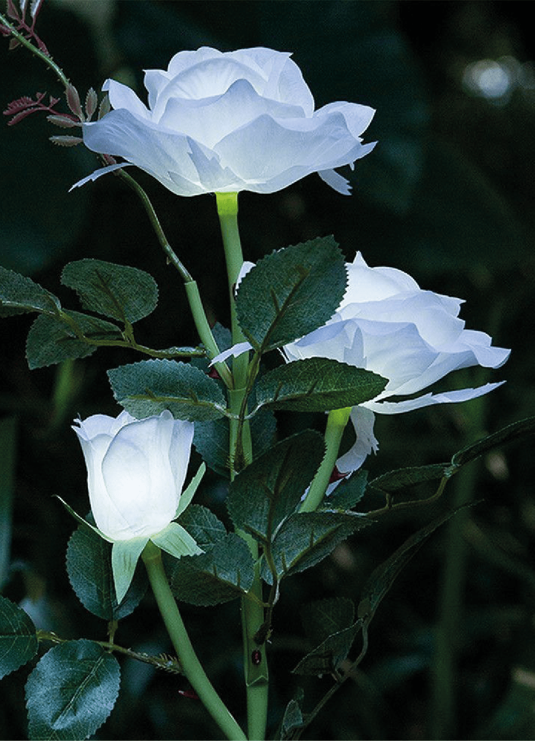 Night Gardenia — المواد التي يقوم عليها التركيب