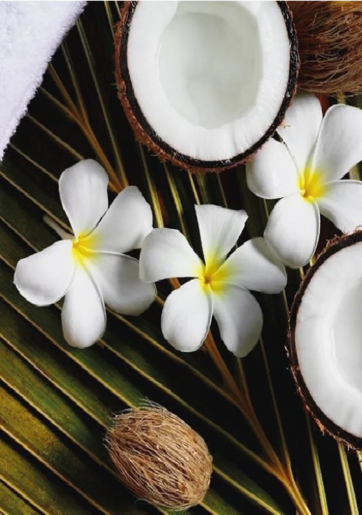 Coconut — the materials behind the accord