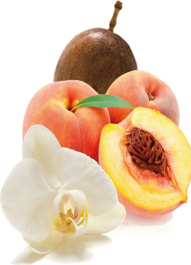 Peach Powder Plus — the materials behind the accord